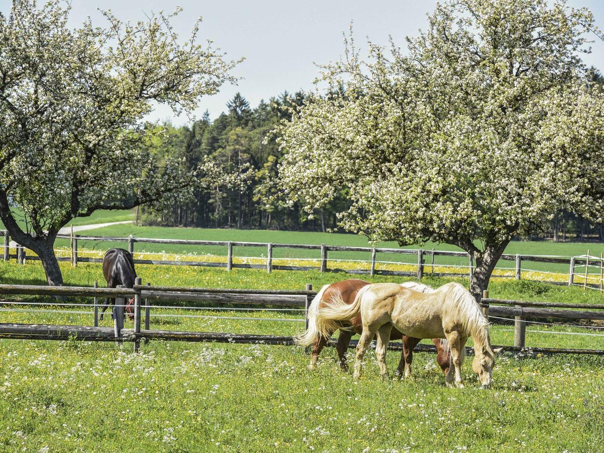 Ferienwohnung Im Weiler Winterlingen المظهر الخارجي الصورة